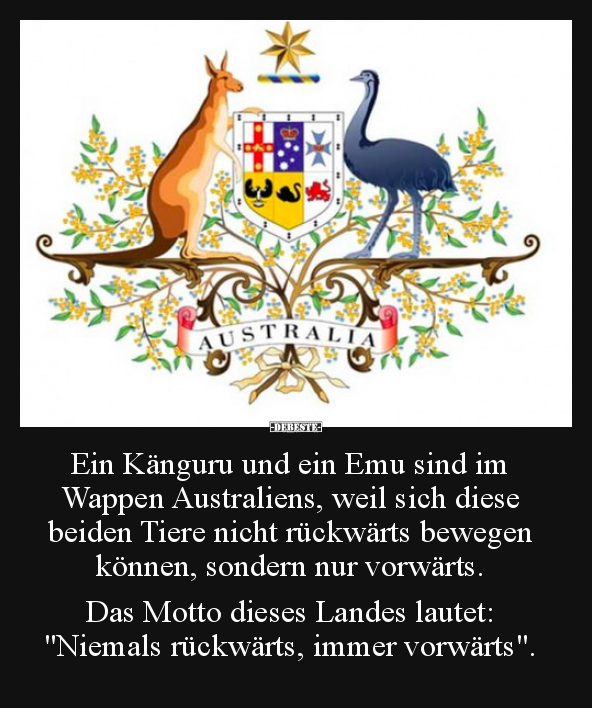 Ein Känguru und ein Emu sind im Wappen Australiens, weil.. - Lustige Bilder | DEBESTE.de