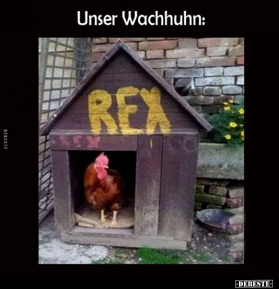 Unser Wachhuhn.. - Lustige Bilder | DEBESTE.de