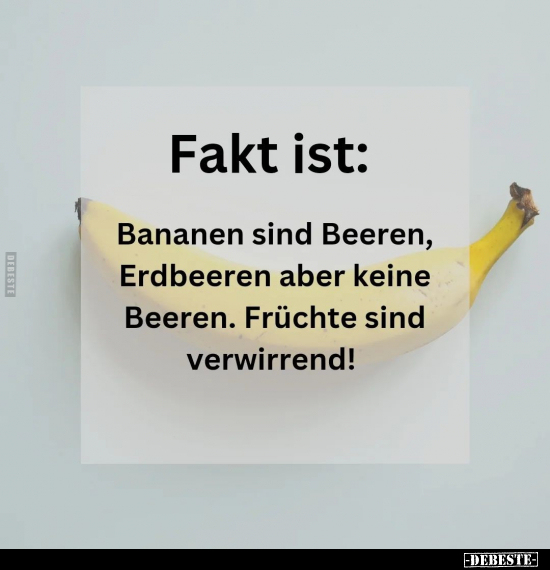 Fakt ist: Bananen sind Beeren, Erdbeeren.. - Lustige Bilder | DEBESTE.de