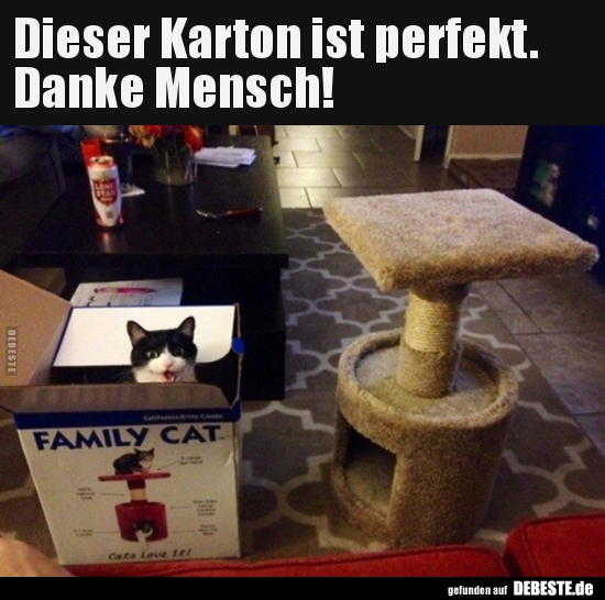 Dieser Karton ist perfekt. Danke Mensch! - Lustige Bilder | DEBESTE.de