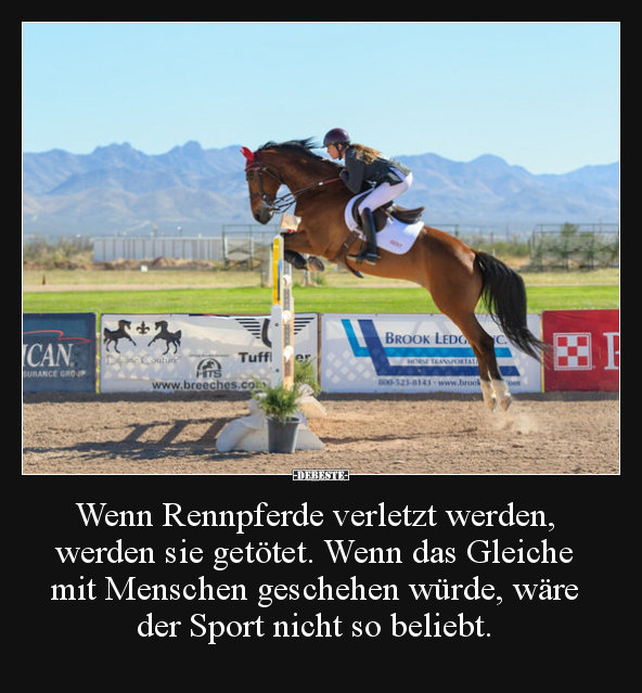 Wenn Rennpferde verletzt werden, werden sie getötet. Wenn.. - Lustige Bilder | DEBESTE.de