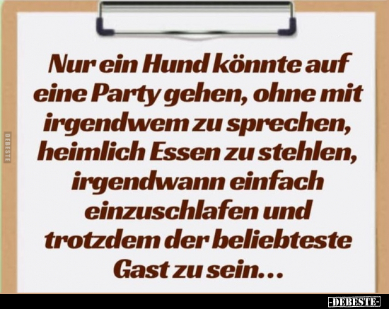 Nur ein Hund könnte auf eine Party gehen, ohne mit.. - Lustige Bilder | DEBESTE.de