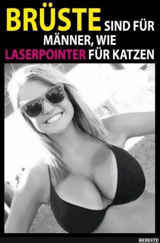 Brüste sind für Männer, wie Laserpointer für Katzen.. - Lustige Bilder | DEBESTE.de