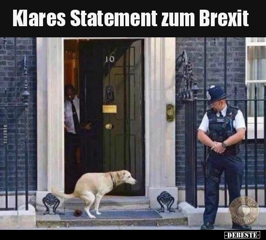 Klares Statement zum Brexit.. - Lustige Bilder | DEBESTE.de