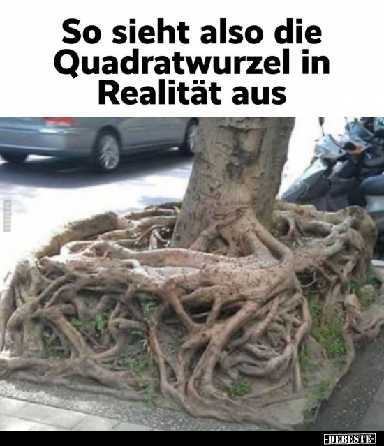 So sieht also die Quadratwurzel in Realität aus.. - Lustige Bilder | DEBESTE.de