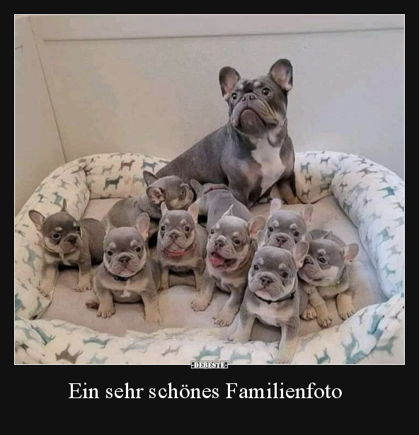 Ein sehr schönes Familienfoto.. - Lustige Bilder | DEBESTE.de