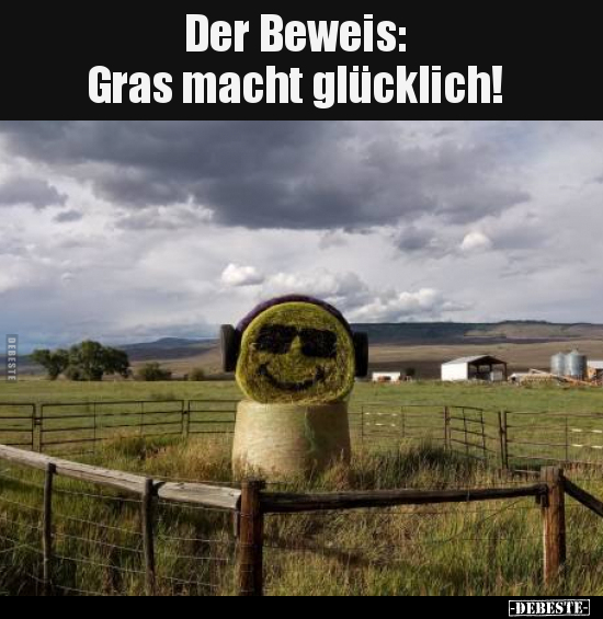 Der Beweis: Gras macht glücklich!.. - Lustige Bilder | DEBESTE.de