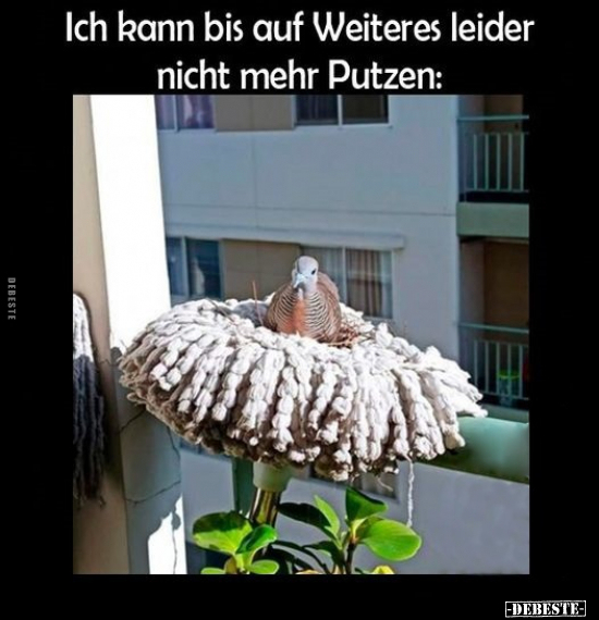 Ich kann bis auf Weiteres leider nicht mehr Putzen.. - Lustige Bilder | DEBESTE.de