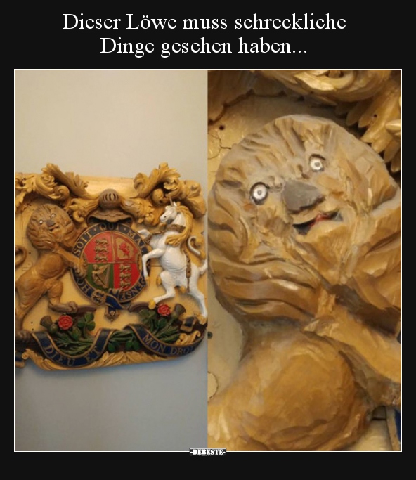 Dieser Löwe muss schreckliche Dinge gesehen haben... - Lustige Bilder | DEBESTE.de
