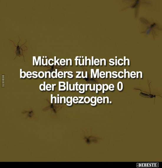 Mücken fühlen sich besonders zu Menschen.. - Lustige Bilder | DEBESTE.de