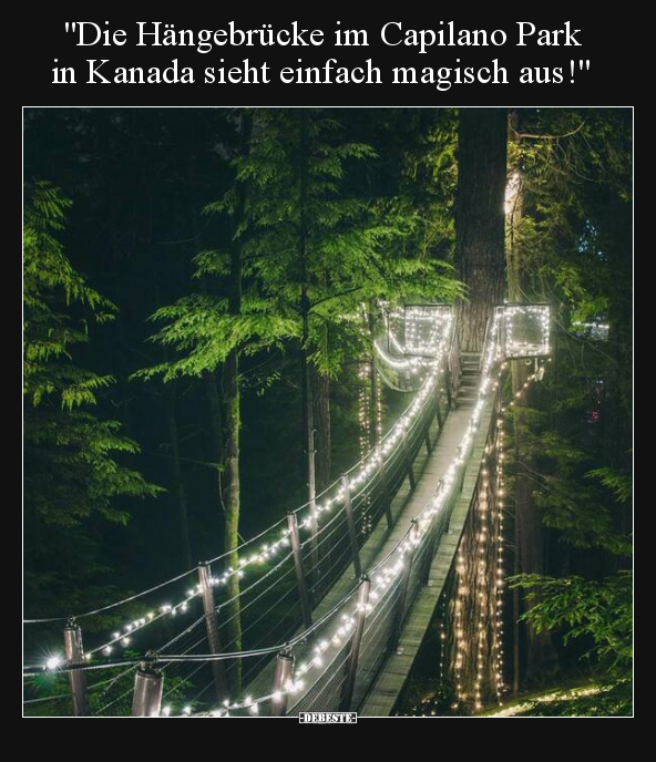 "Die Hängebrücke im Capilano Park in Kanada sieht einfach.." - Lustige Bilder | DEBESTE.de