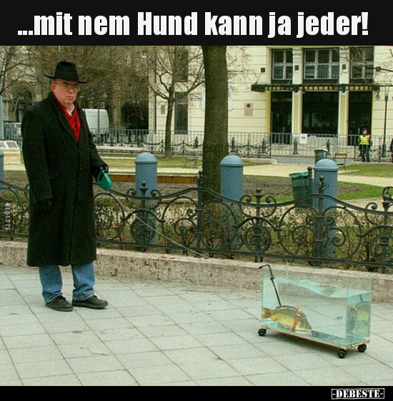 Mit Nem Hund Kann Ja Jeder DEBESTE De