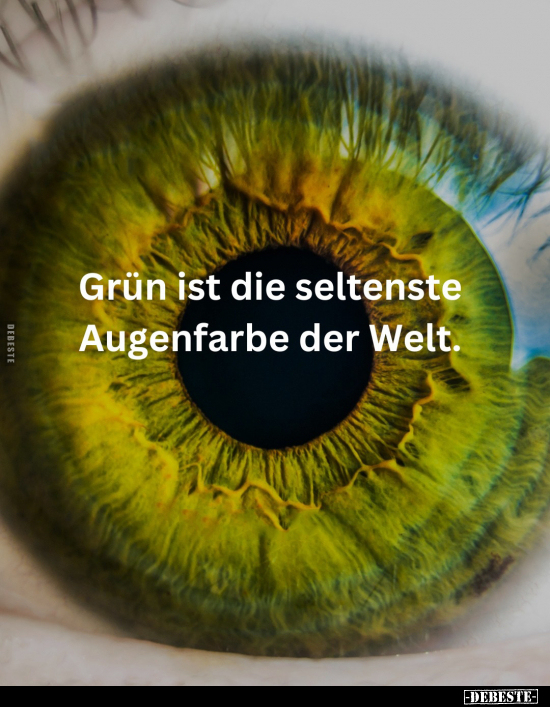 Grün ist die seltenste Augenfarbe der Welt... - Lustige Bilder | DEBESTE.de