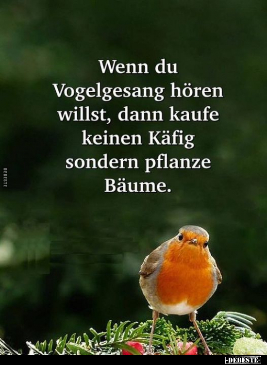 Wenn du Vogelgesang hören willst, dann kaufe keinen Käfig.. - Lustige Bilder | DEBESTE.de