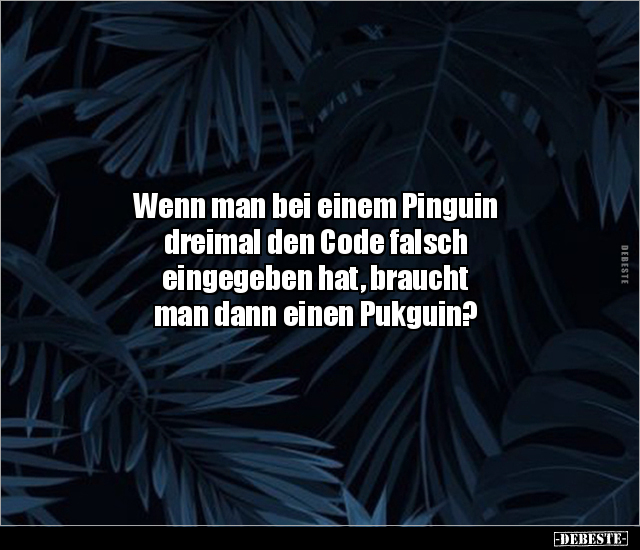 Wenn man bei einem Pinguin dreimal den Code falsch.. - Lustige Bilder | DEBESTE.de