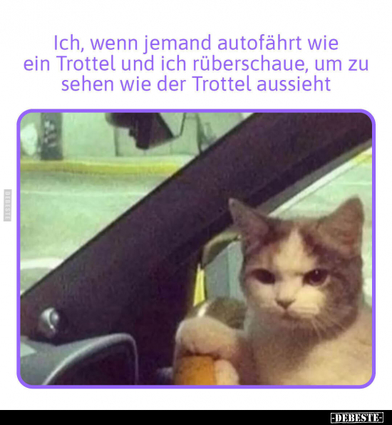 Ich, wenn jemand autofährt wie ein Trottel und ich.. - Lustige Bilder | DEBESTE.de