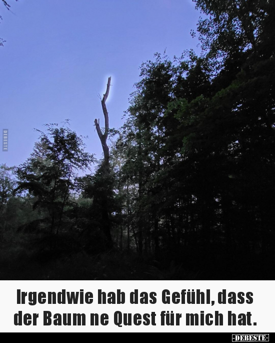 Irgendwie hab das Gefühl, dass der Baum ne Quest für mich.. - Lustige Bilder | DEBESTE.de