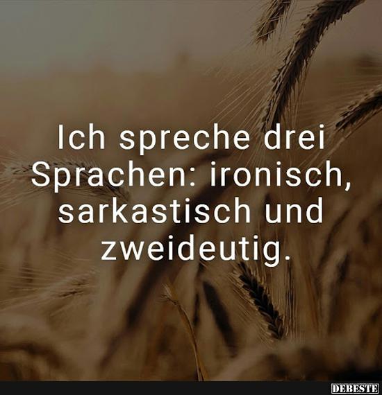 Ich spreche drei Sprachen fliessend: Ironisch, sarkastisch, zweideutig. - Lustige Bilder | DEBESTE.de