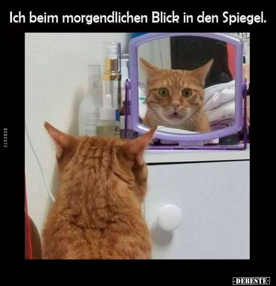 Ich beim morgendlichen Blick in den Spiegel... - Lustige Bilder | DEBESTE.de
