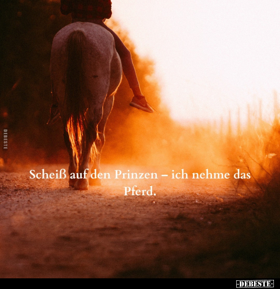 Schei*ß auf den Prinzen - ich nehme das Pferd... - Lustige Bilder | DEBESTE.de