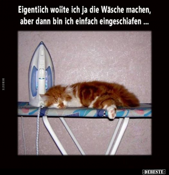 Eigentiich woiite ich ja die Wäsche machen.. - Lustige Bilder | DEBESTE.de