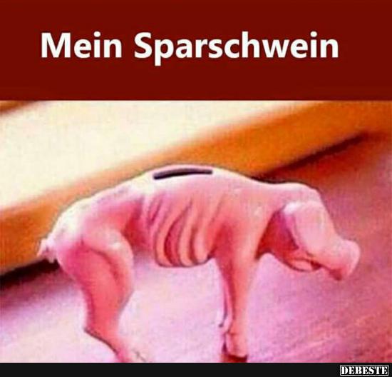 Mein Sparschwein.. - Lustige Bilder | DEBESTE.de