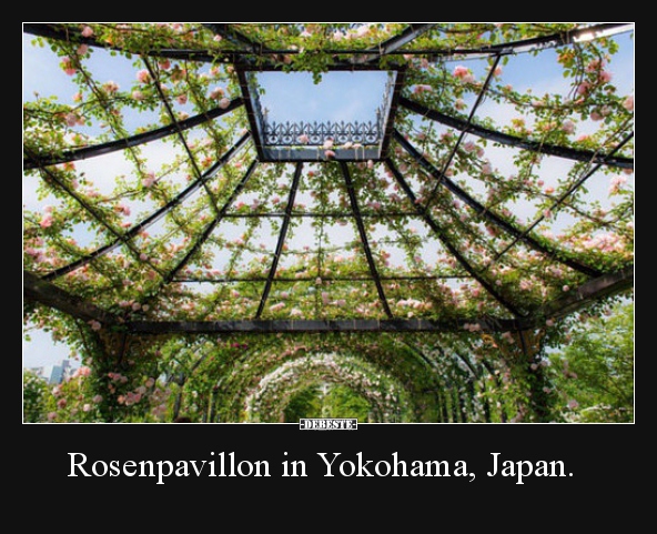 Rosenpavillon in Yokohama, Japan. - Lustige Bilder | DEBESTE.de