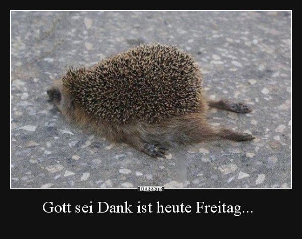 Gott sei Dank ist heute Freitag... - Lustige Bilder | DEBESTE.de