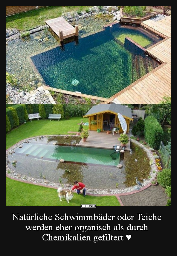 Natürliche Schwimmbäder oder Teiche werden eher organisch.. - Lustige Bilder | DEBESTE.de