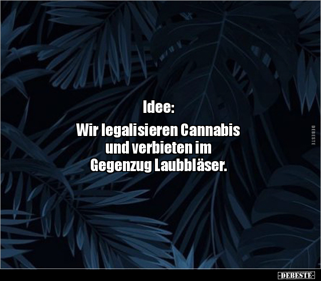 Idee: Wir legalisieren Cannabis und verbieten im.. - Lustige Bilder | DEBESTE.de