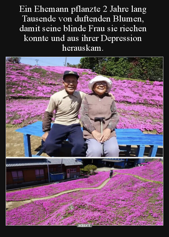 Ein Ehemann pflanzte 2 Jahre lang Tausende von duftenden.. - Lustige Bilder | DEBESTE.de