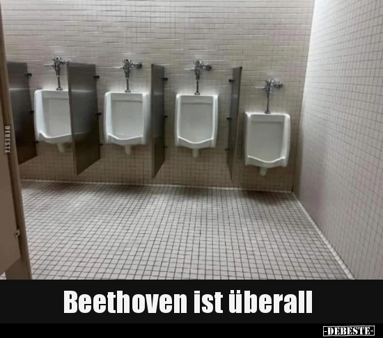 Beethoven ist überall.. - Lustige Bilder | DEBESTE.de