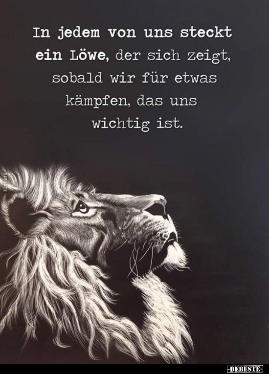 In jedem von uns steckt ein Löwe, der sich zeigt.. - Lustige Bilder | DEBESTE.de