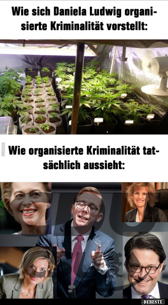 Wie sich Daniela Ludwig organisierte Kriminalität.. - Lustige Bilder | DEBESTE.de