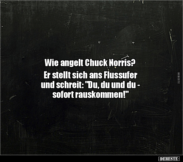 Wie angelt Chuck Norris? Er stellt sich ans Flussufer und.. - Lustige Bilder | DEBESTE.de