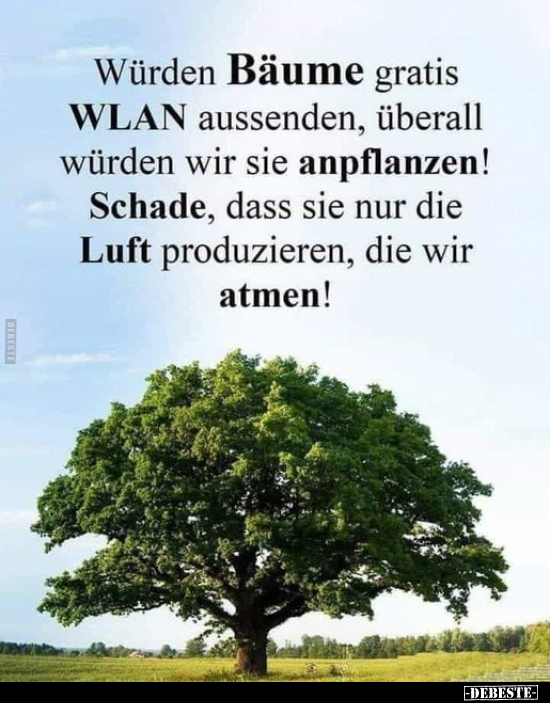 Würden Bäume gratis WLAN aussenden.. - Lustige Bilder | DEBESTE.de