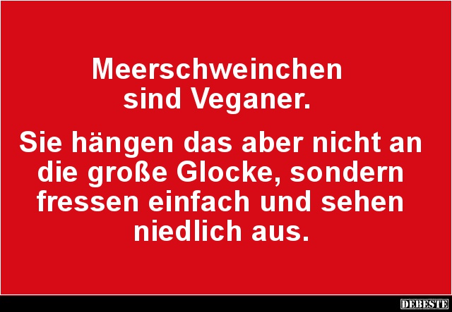 Meerschweinchen sind Veganer.. - Lustige Bilder | DEBESTE.de
