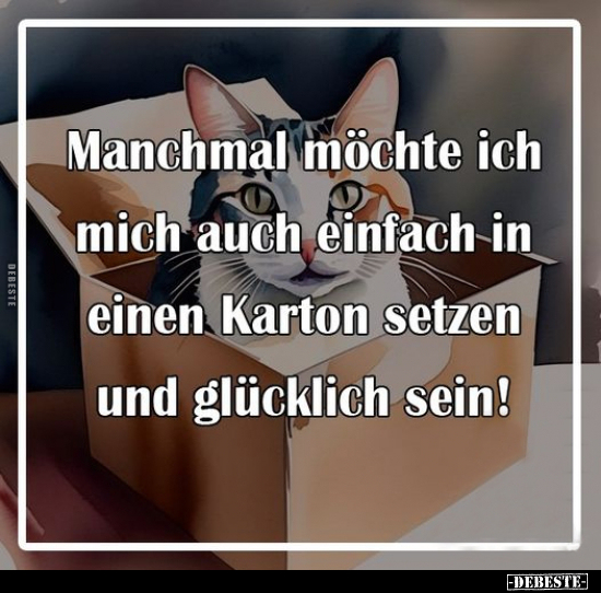 Manchmal möchte ich mich auch einfach in einen Karton.. - Lustige Bilder | DEBESTE.de