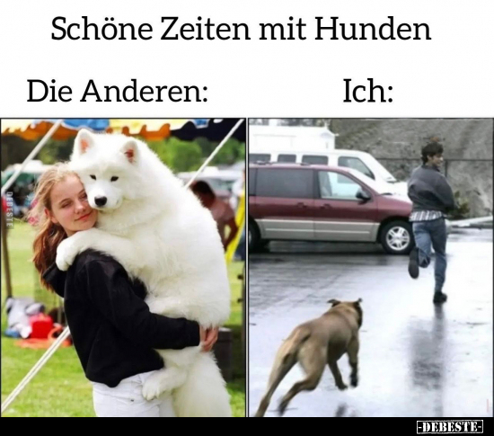Schöne Zeiten mit Hunden.. - Lustige Bilder | DEBESTE.de