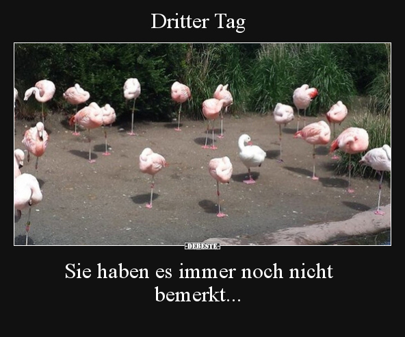 Dritter Tag.. - Lustige Bilder | DEBESTE.de