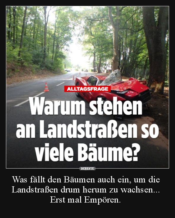 Was fällt den Bäumen auch ein, um die Landstraßen drum.. - Lustige Bilder | DEBESTE.de