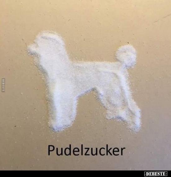Pudelzucker.. - Lustige Bilder | DEBESTE.de