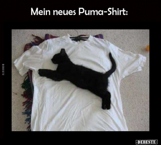 Mein neues Puma-Shirt.. - Lustige Bilder | DEBESTE.de