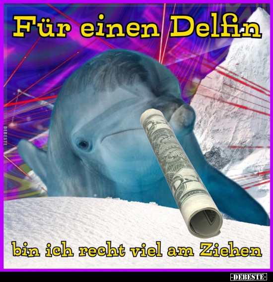 Für einen Delfin bin ich recht viel am Ziehen... - Lustige Bilder | DEBESTE.de
