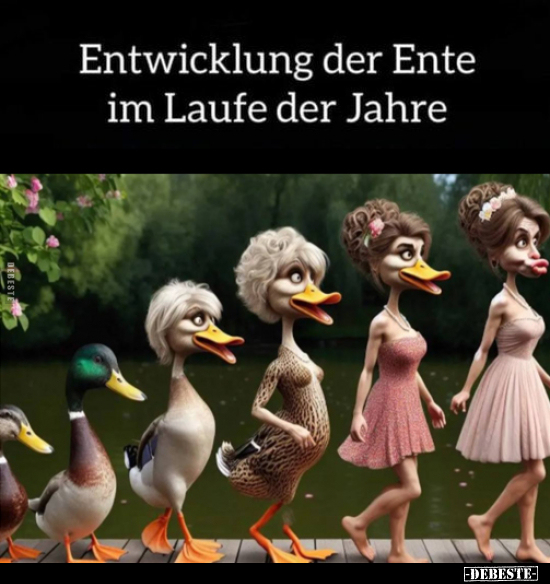 Entwicklung der Ente im Laufe der Jahre... - Lustige Bilder | DEBESTE.de