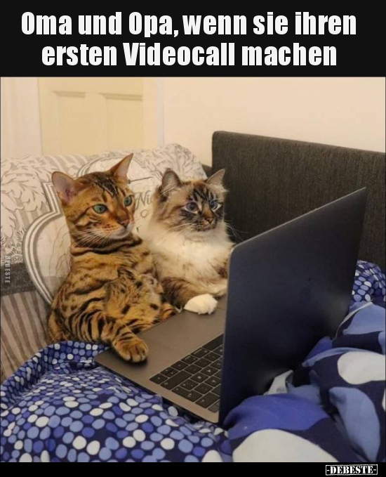Oma und Opa, wenn sie ihren ersten Videocall machen.. - Lustige Bilder | DEBESTE.de
