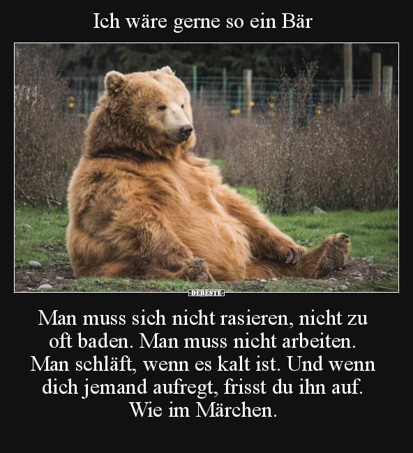Ich wäre gerne so ein Bär.. - Lustige Bilder | DEBESTE.de