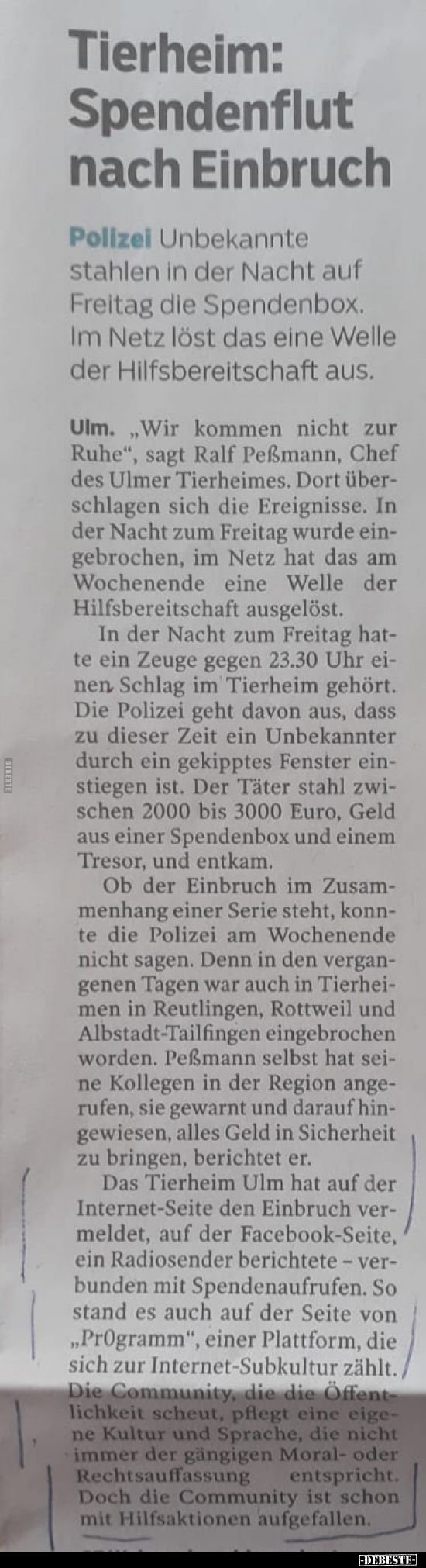 Tierheim: Spendenflut nach Einbruch.. - Lustige Bilder | DEBESTE.de