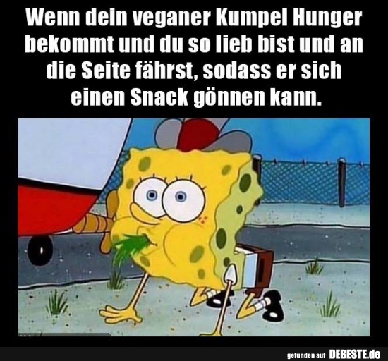 Wenn Dein Veganer Kumpel Hunger Bekommt Und Du So Lieb Bist Lustige