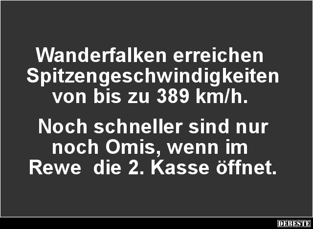 Wanderfalken erreichen Spitzengeschwindigkeiten.. - Lustige Bilder | DEBESTE.de